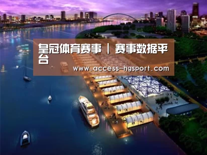 案例展示八