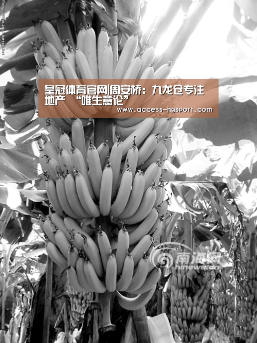 皇冠体育app