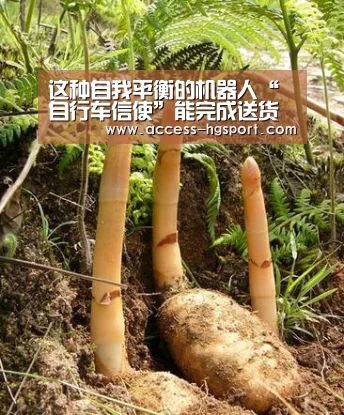 这种自我平衡的机器人“自行车信使”能完成送货服务吗?:皇冠体育下载(图1) 皇冠体育下载